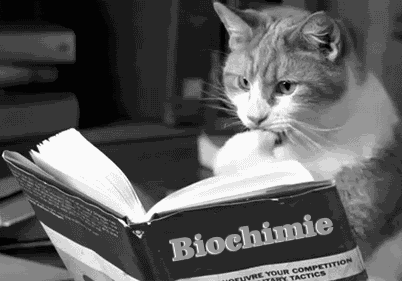 cat lookup